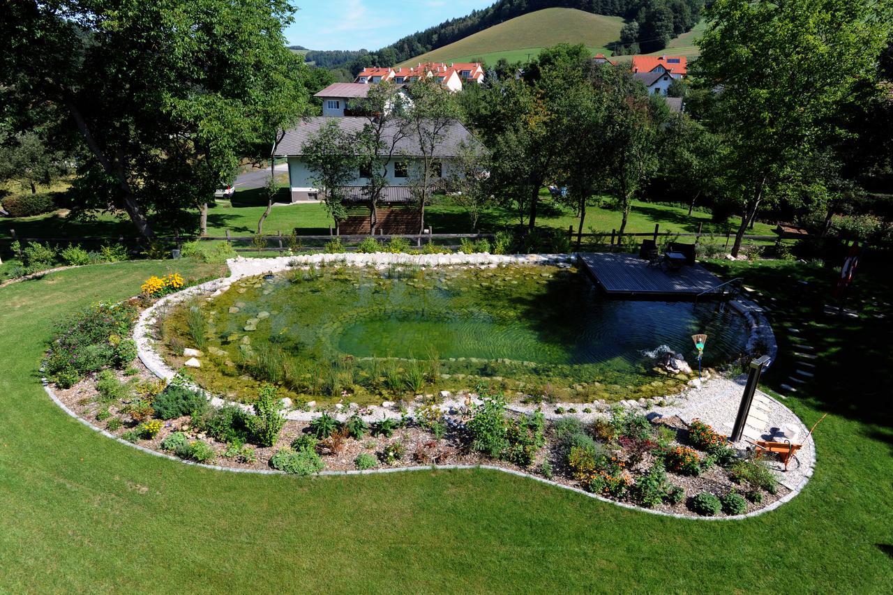 Hotel Geier Bad Schönau Buitenkant foto